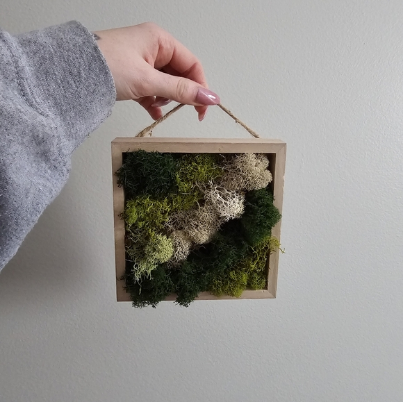 Other - Handcrafted Moss Wall Art Decor 5" x 5"